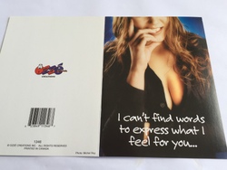 Cards - Greeting: 8B - GCARD - I CANT FINE THE WORDS - 1346