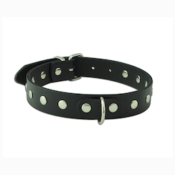 Wild Hide Leather: WILD - STUDDED D RING COLLAR - SMALL - 300-4**