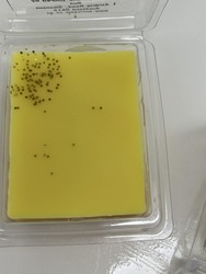 🔥ORNAMENTAL CANDLES WITH ATTITUDE 🔥: 1D - MELTS - 🍋 Summer Citrus Spritz**