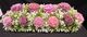 🌸Pink and Plum Peony Garden - SJ-LGMD-07** 🌸